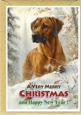 Biglietto di Natale Rhodesian Ridgeback Dog A6 (4"x 6") (vuoto all'interno) di Starprint