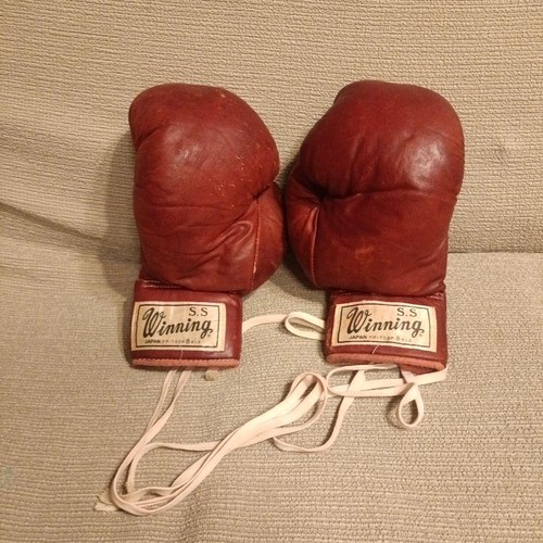 Guantoni boxe vincenti - da,