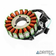 ✅ Alternatore Statore Kawasaki EX 300 Ninja (2013-2017)