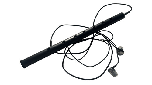 Cornamusa elettronica - cornamusa,