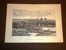 Esposizione arte di Roma del