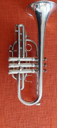 Cornetta sib - cornetta,