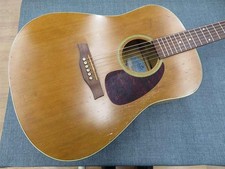 Chitarra elettrica acustica