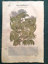 MATTIOLI MATTHIOLI Erbario a