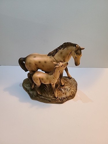Uctci cavallo arabo - e, puledro