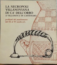 LA NECROPOLI VILLANOVIANA DI
