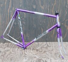 TELAIO E FORCELLA bici da