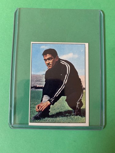 Garrincha rara figurina - garrincha,
