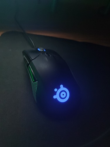 Steelseries rival 310 - steelseries,