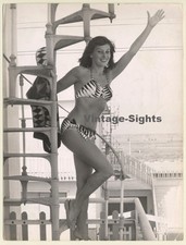 Licio D'Aloisio: Magali Noel