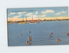 Cartolina Veduta dalla Barca Atterraggio Chiave West Florida USA