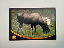 FIGURINA ANIMAL CHAMPIONS NATIONAL GEOGRAPHIC PANINI 2004 n 21 CON VELINA