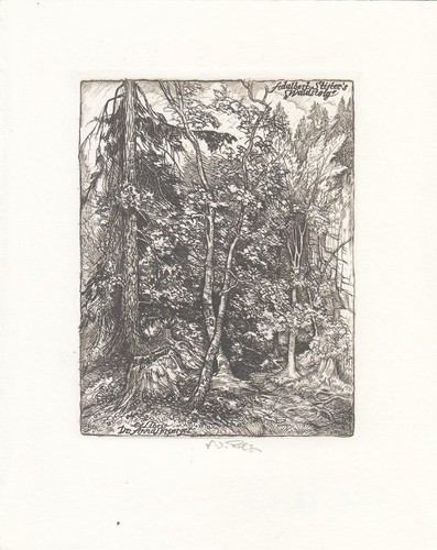 Exlibris bookplate kupferstich - bookplate,