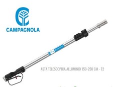 ASTA TELESCOPICA T2 PER PETTINE O FORBICE ARIA COMPRESSA PER OLIVE CAMPAGNOLA 