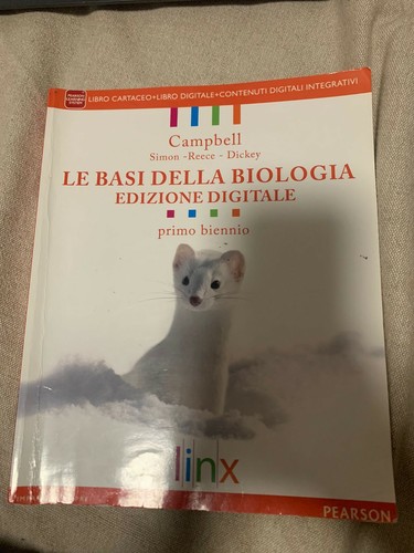 9788863643886 basi della - basi,