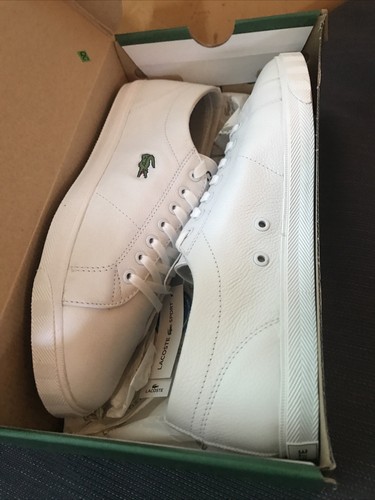 Scarpe sneakers lacoste - scarpe,