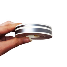 Trim Stripes Strisce Adesive per Auto 2 Fili, Argento, 11 mm x 10 Mt