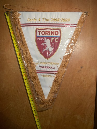 Torino chievo calcio - torino,