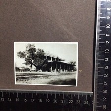 Locomotiva,littorina,stazione