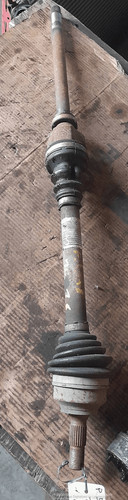 Semialbero ant compl dx - semialbero, compl.