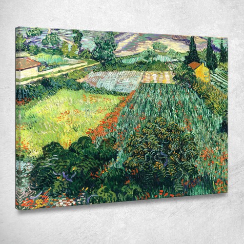 Campo con papaveri - con, vincent