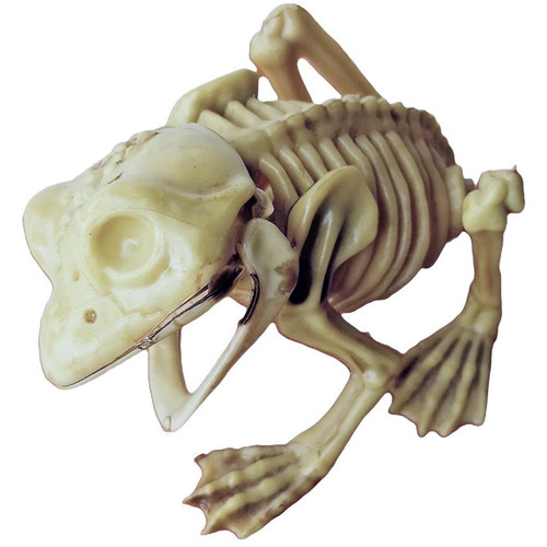 5in finto animale domestico