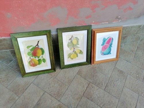 Lotto quadri frutta - quadri,