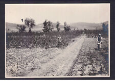 Fotografia Foto Albania Campo