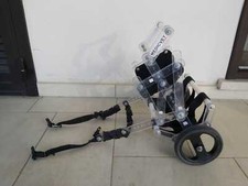 "Sedia a Rotelle" per Cani