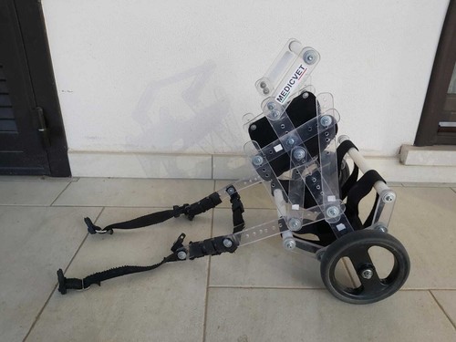 Sedia rotelle per - "sedia,
