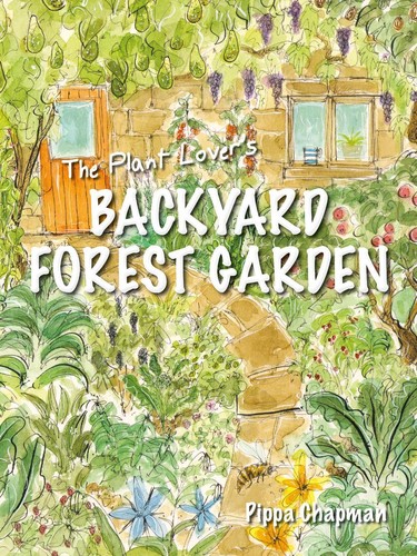The plant lover - plant, backyard
