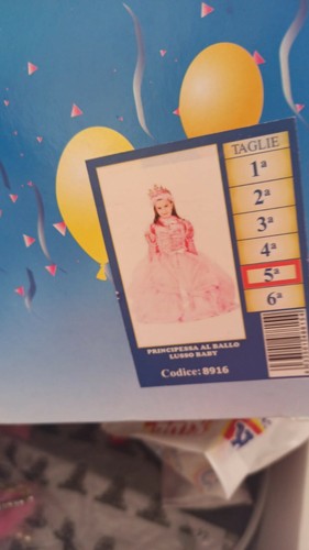 Costume carnevale principessa - costume,