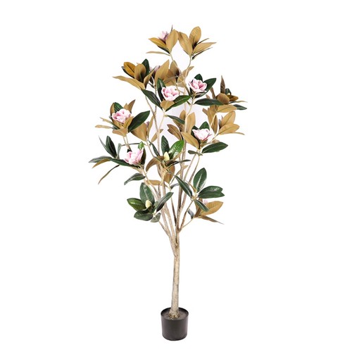 Albero magnolia 160 cm - albero, di