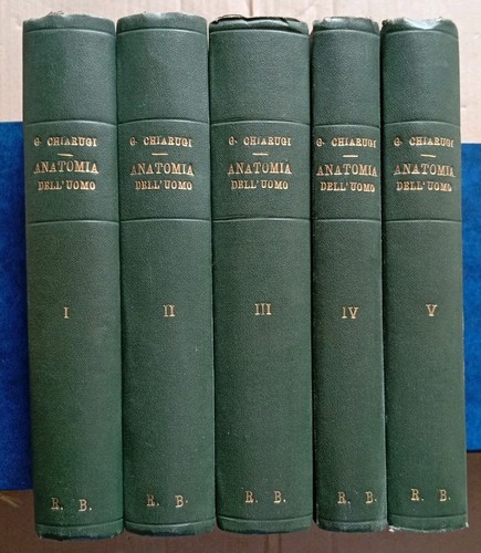 Istituzioni anatomia - istituzioni, di