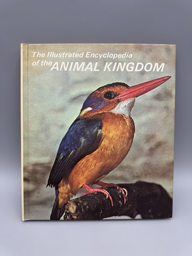 Vintage 1971 the illustrated - vintage,