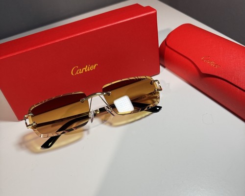 Occhiali sole uomo cartier - occhiali,