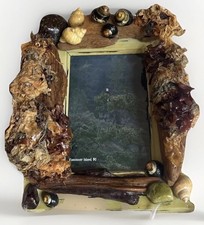 Vancouver Island, BC Driftwood