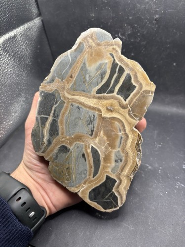 Minerali septaria panaro - minerali,