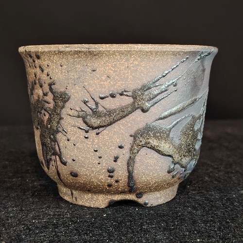 Japanese banko bonsai - pot, 11