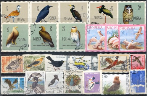 Tematica uccelli annate - uccelli,