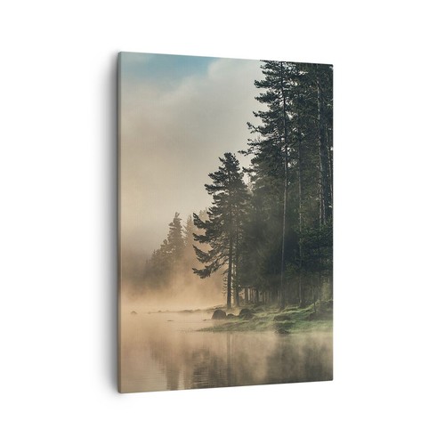 Quadro tela 50x70cm nebbia - quadro, su