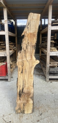 Tavola legno ulivo 173x - tavola, max