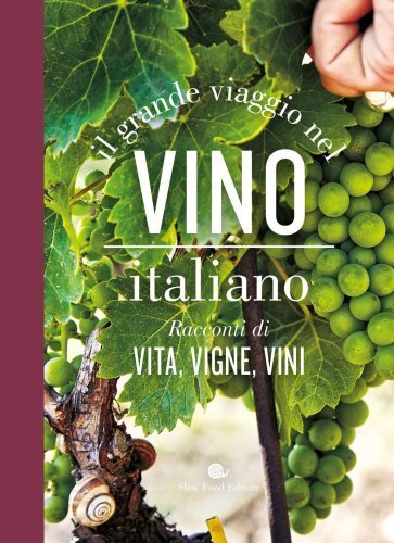 Libro grande viaggio nel - viaggio,