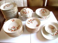 SERVIZIO PIATTI 52 PEZZI -