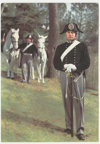 Arma dei carabinieri - arma,
