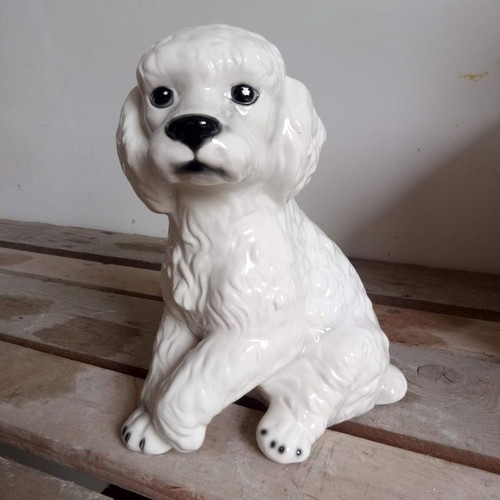 Statua cane barboncino bianco - cane,