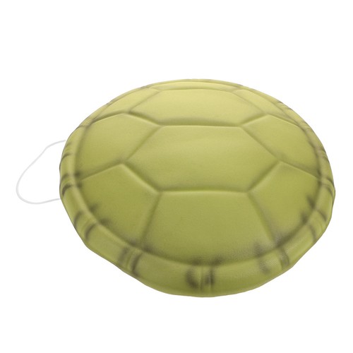 Guscio tartaruga verde - guscio, di