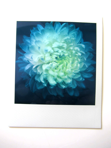 Araki polaroid originale - n., araki: