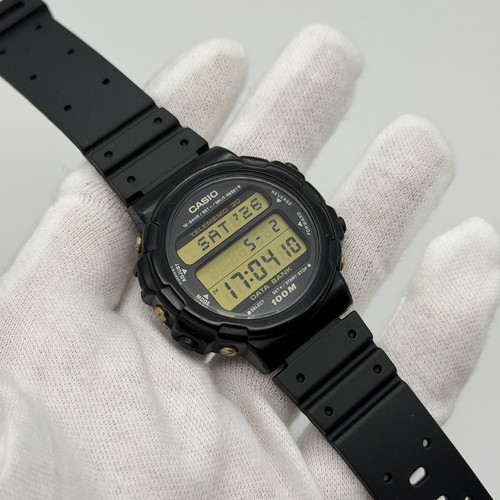 Banca dati casio dbw - banca,