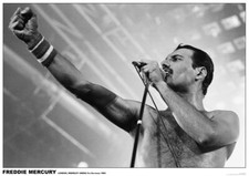 Poster QUEEN - Freddie Mercury